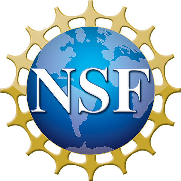 nsf logo